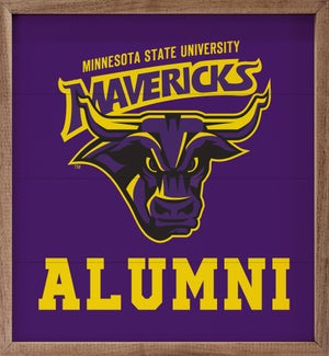 Alumni Minnesota State University Mankato